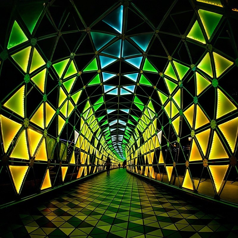 Custom Outdoor LED Tunnel Arch Lighting