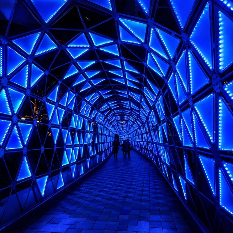 Custom Outdoor LED Tunnel Arch Lighting