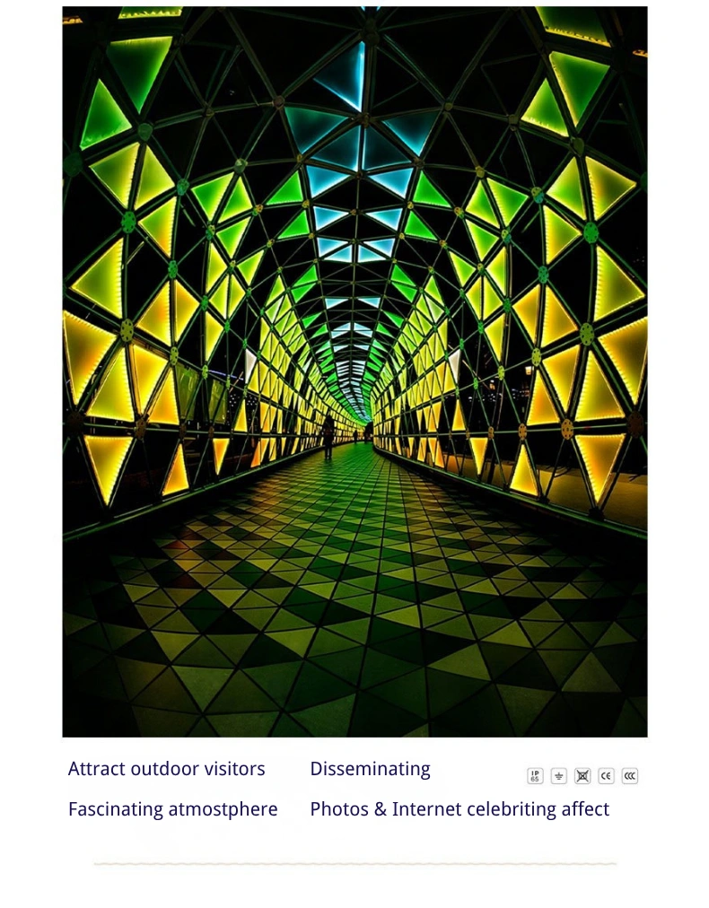 Colorful LED tunel-description (4).webp
