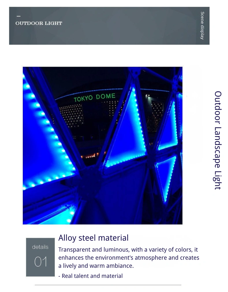 Colorful LED tunel-description (7).webp
