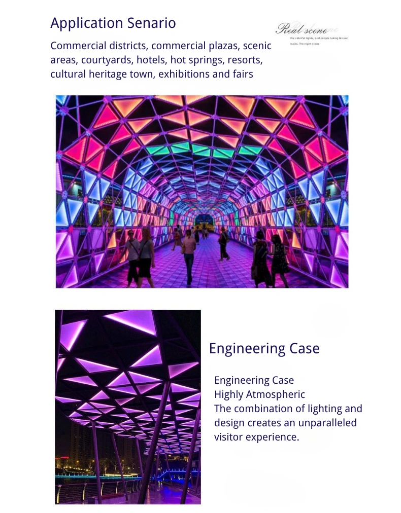 Colorful LED tunel-description (9).webp